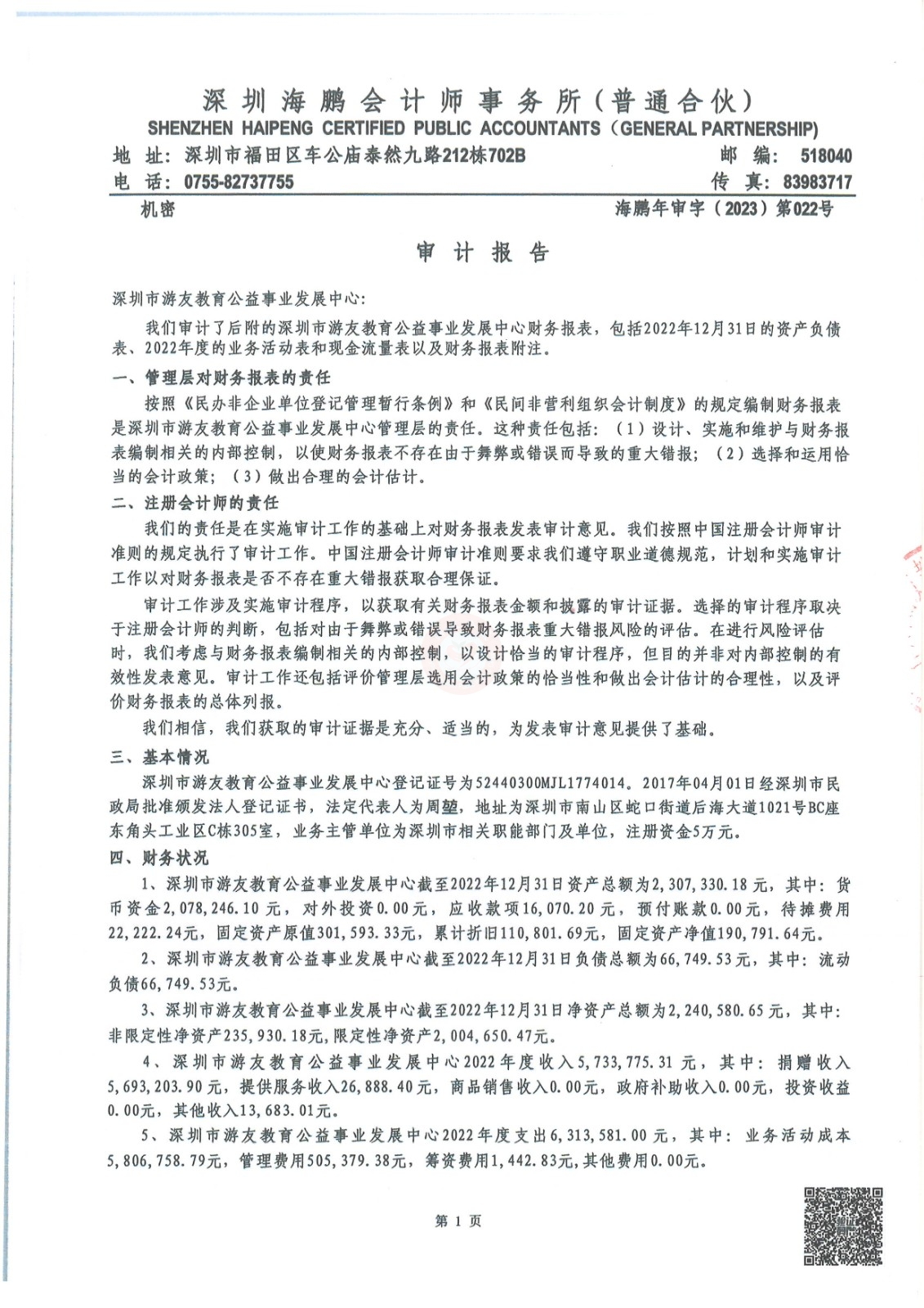 2022年度游友公益机构财务审计报告 (2)